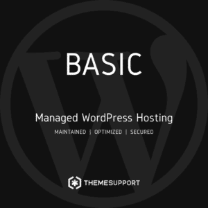 WordPress Hosting Basic